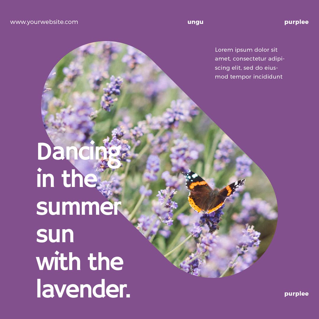 薰衣草配色社交媒体广告Banner图设计模板素材库精选 Lavender Social Media Banners插图(7)