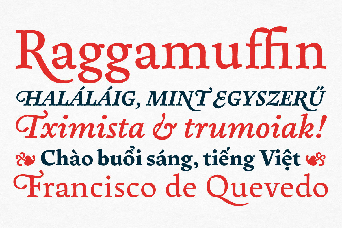 Pliego Font Family插图4