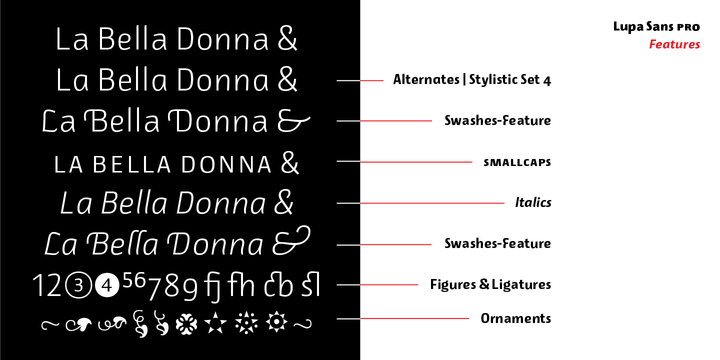 Lupa Sans Pro Font Family插图3