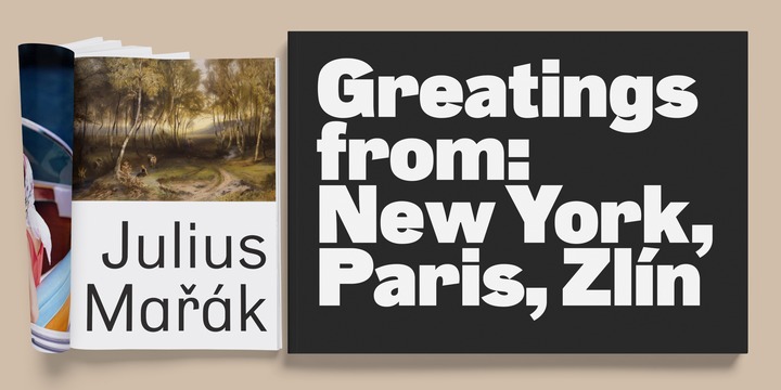 Slavia Font Family插图5