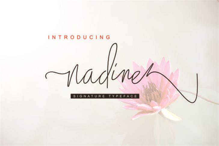 Nadine font插图