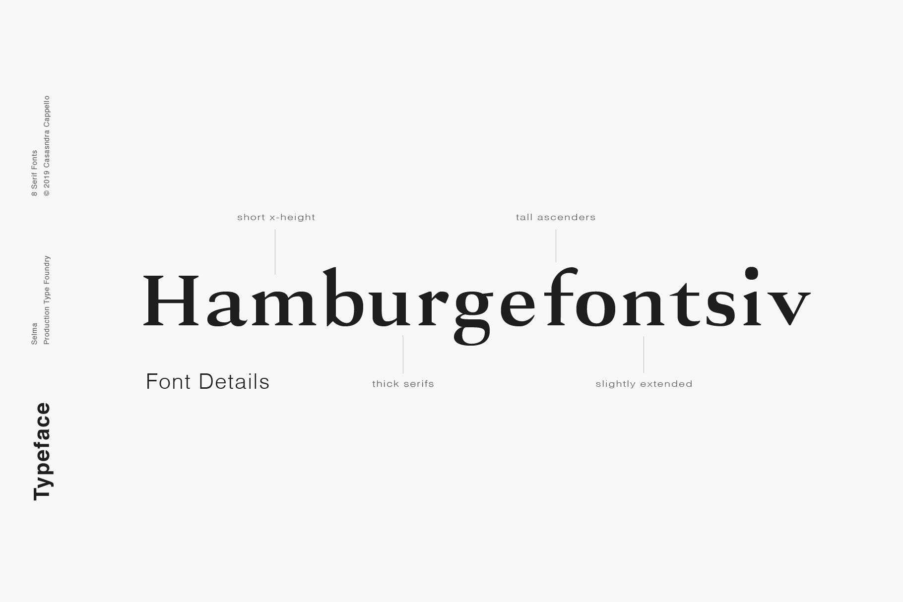 现代优雅英文衬线字体下载 Selma – A Classy Serif Typeface插图(2)