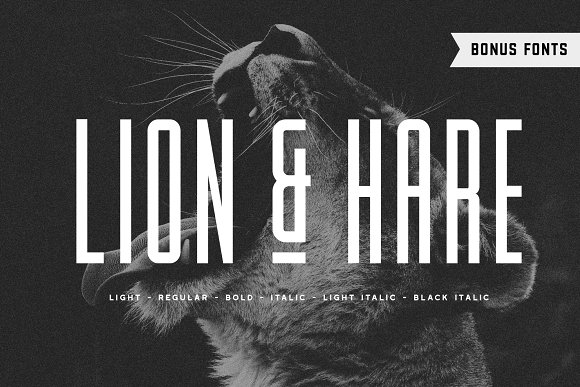 Lion & Hare Font + Bonus Fonts!插图