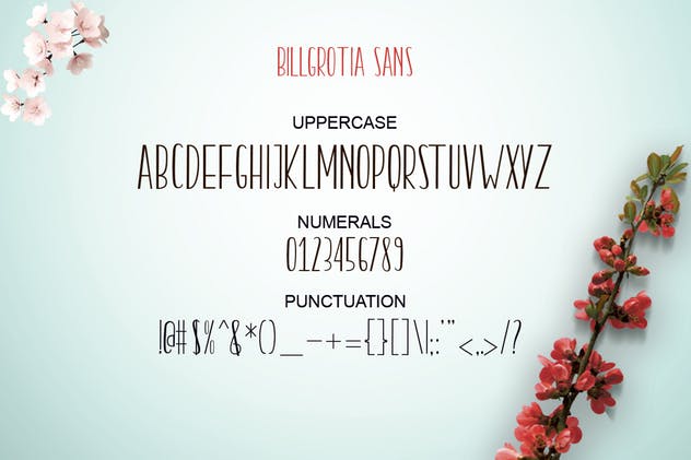 细长手写书法英文无衬线字体 Billgrotia插图(8)