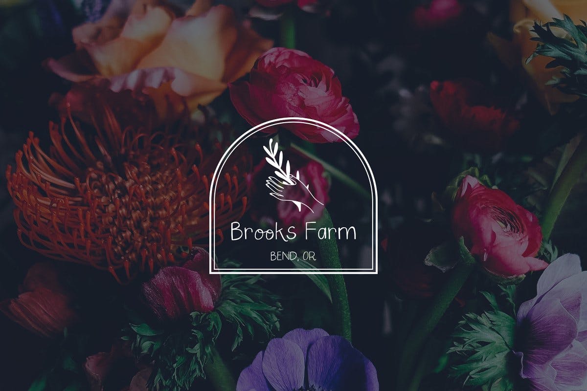 创意设计正楷书法英文无衬线字体 Saturday Market Font插图(3)